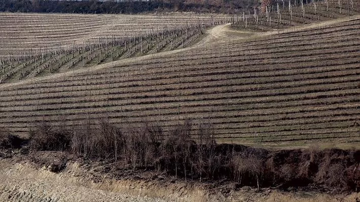 Un'immagine generica segnaposto con angoli arrotondati in una figura.